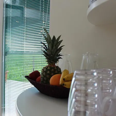 Landgasthof Ratz 2* 莱瑙