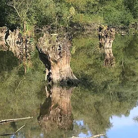 Landgasthof Ratz Ξενοδοχείο Rheinau